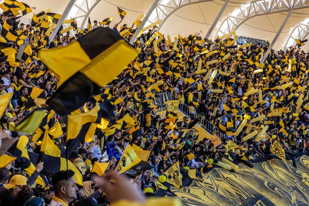 fans Coquimbo Unido fans Coquimbo Unido